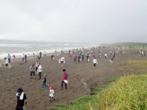 石崎浜ビーチクリーン